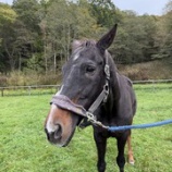 『マイナス気温』の画像