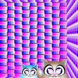 『海中の生き物達』の画像