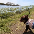 海の中道海浜公園