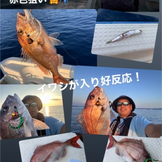 フラッター日誌