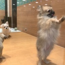 お外に出たいよ〜♪