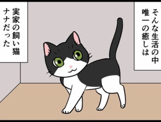 プライドは高いがオネショする夫の話その19