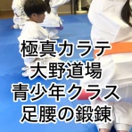極真会館 神奈川相模原支部 ブログ