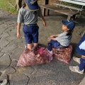 古城公園清掃・カブ隊隊集会