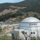 『さをりバージョン底力』の画像