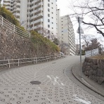 東京坂道さんぽ