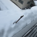 雪下ろし・其の二【秋田の地酒 高良酒屋】