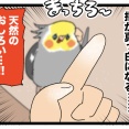 夢中で鳥さんをカキカキしてると指が真っ白になる👆