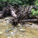 ２０６．竿が折れた、心も折れた（２）