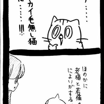 NNNの匠の技115