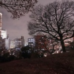 夜散歩のススメ