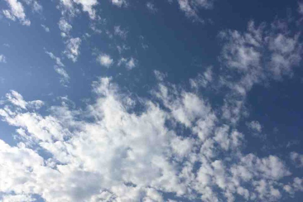 小島てつを 人生が見えるから俳句 時々短歌 は面白い ブログ版 夏の俳句