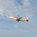 飛行機を見に行く