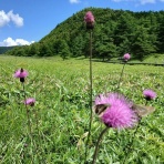 tomiura414のblog　ソロ登山家フム君の海と山の別荘日記