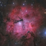 星と畑のシニアライフ