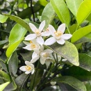 5月4日(月) (^O^)／