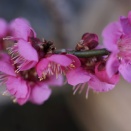 簡単に、苦痛なく手放す