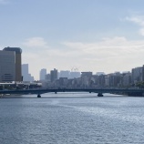 『本音を話すと泣いてしまうので vol.4495』の画像