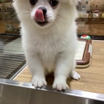 ワンラブ　カインズ広島LECT店のブログ