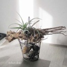 坐骨神経痛と湿布薬