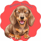 『On my own(自分一人で)』の画像