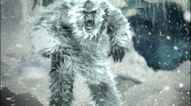 イエティの正体はサーカスのクマ? ロシア採取の毛をDNA鑑定