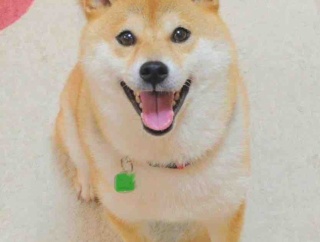 中学生に話しながら、私が気づいたこと