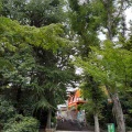 世界のほとんどの人はみんな誠実に生きている