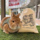 プレゼントこんな風に使ってみました♪