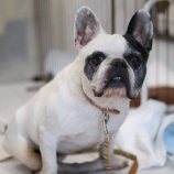 『2月27日(土)~2月28日(日)の営業について』の画像