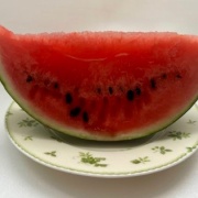 今年初のスイカと「やったことリスト」のおすすめ