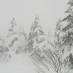 ゴアテックスの天敵～ゲレンデと温泉の雑記～