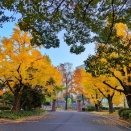 【早朝散歩】日比谷