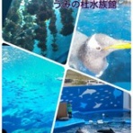 かちゃましぃ日々を綴る