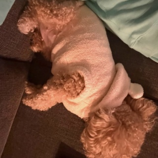 Daisy Days（ユチョンの魅力まとめ Season5）