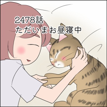 あんこ＆麦2478 ただいまお昼寝中