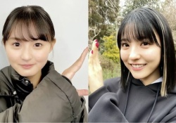 【悲報】乃木坂ファンはボーダレスへの期待値イマイチか.........