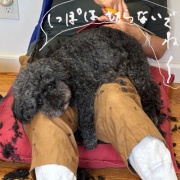 ̼���ؤ����Ĥ�����ư��