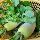 2025,12/16日の結果