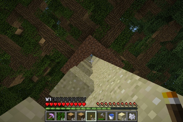 南西地方に巨大樹を作る 4 マインクラフトてんやわんや開拓記