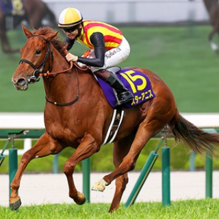 ☆うまなみ・競馬にゅーす速報