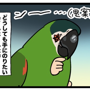 🦜ニンゲンの指が遠い……せや！