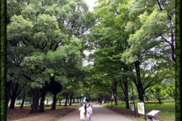 すたこら日記 世田谷 砧公園