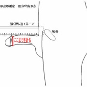 ちんこ13cmって小さいのか Vipperな俺とお前