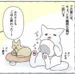 くららんち。～B型夫婦と猫２匹の日常～