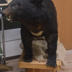 長野県安曇野市在住 KITAZAWAのブログ