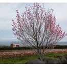 県立おだわら諏訪の原公園事業～らくらくエアロ＆ストレッチ~