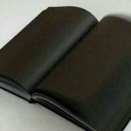 容姿が悪い者の一発逆転劇