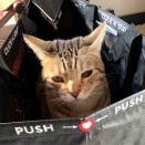 箱入り息子ならぬ袋入り息子