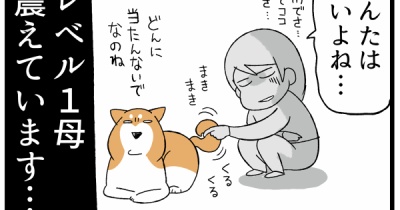 「子供の髪結びレベル１」の母に与えられし難関ミッション